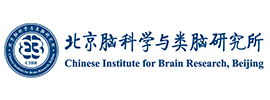 北京腦科學(xué)與類腦研究所