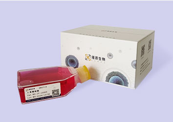 人子宮內膜間質細胞